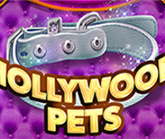 Hollywood Pets