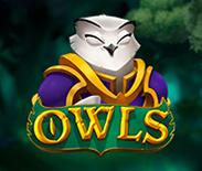 Owls