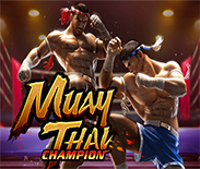 Muay Thai Champion